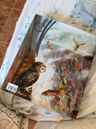 Harry Potter y la piedra filosofal (Harry Potte...