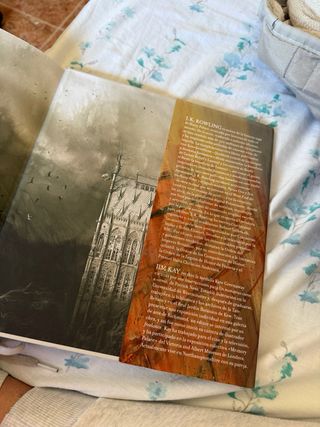 Harry Potter y la piedra filosofal (Harry Potte...