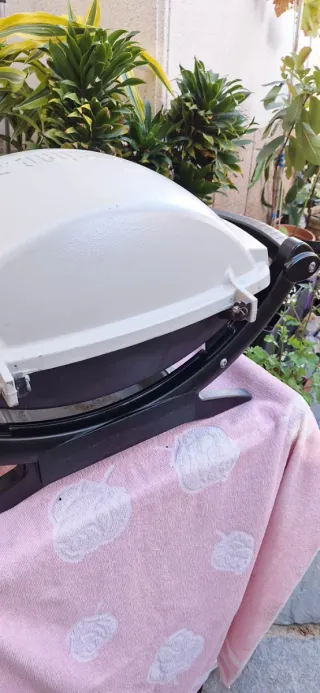 Barbacoa Weber Portátil Gas Negra y gris