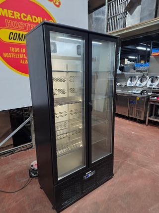 ARMARIO DOBLE PUERTA CRISTAL INFRICO