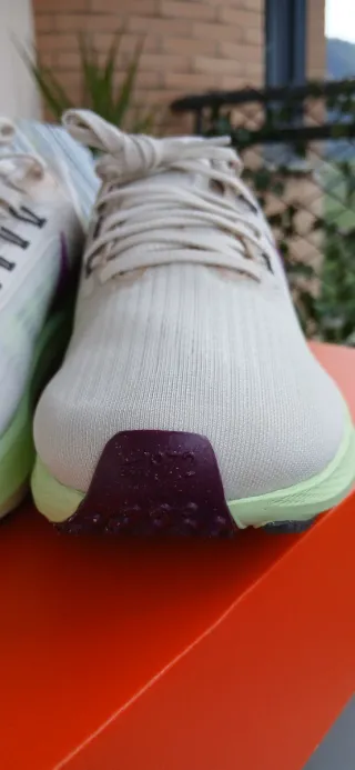 Nike Air Zoom Pegasus 39