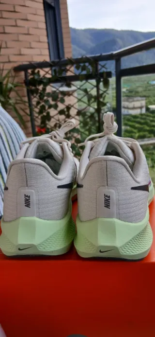 Nike Air Zoom Pegasus 39