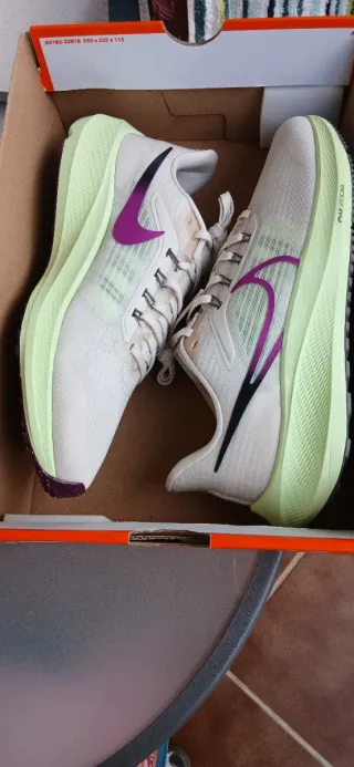 Nike Air Zoom Pegasus 39