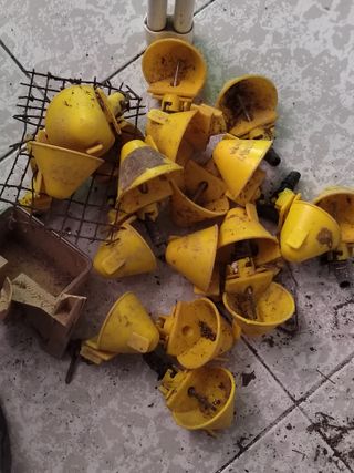 Lote de bebederos automáticos de cazoleta para ave