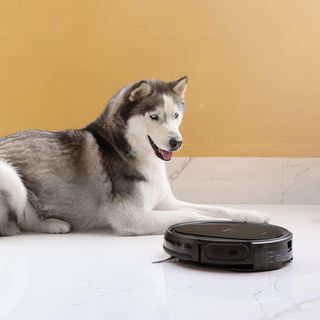 - Cecotec Robot Aspirador y Fregasuelos Conga 19