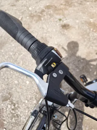 Bicicleta Trekking 28 Plata