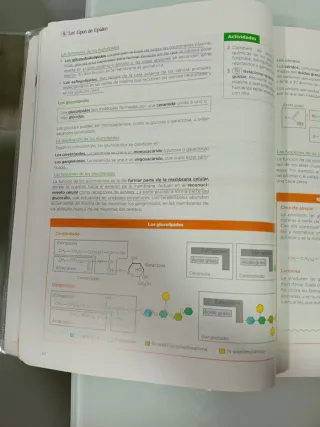Biología 2 de Bachillerato Anaya