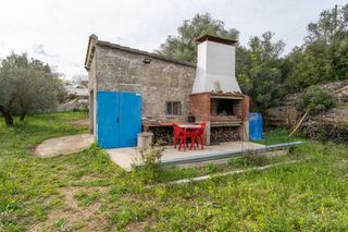 Finca con casa de campo y agua de pozo comunitario
