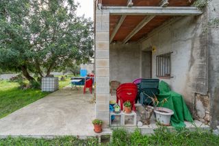Finca con casa de campo y agua de pozo comunitario