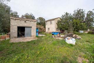 Finca con casa de campo y agua de pozo comunitario