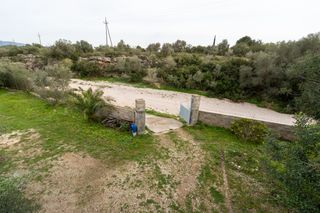 Finca con casa de campo y agua de pozo comunitario