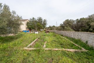 Finca con casa de campo y agua de pozo comunitario