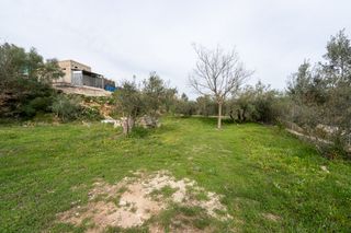 Finca con casa de campo y agua de pozo comunitario