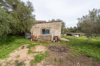 Finca con casa de campo y agua de pozo comunitario