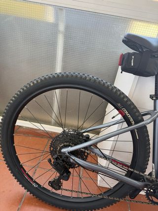 Bicicleta EXPL 520 MTB Gris
