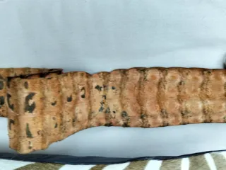 Cinturón Auténtico Cocodrilo Marcus Fire