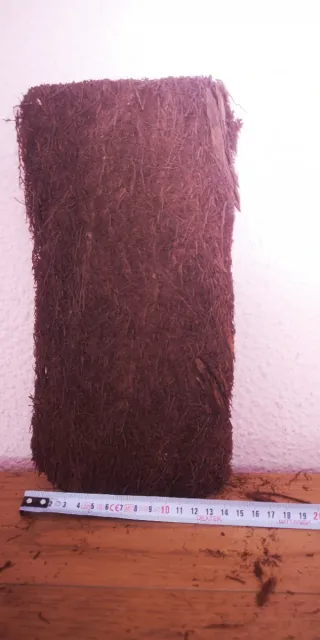 Panel de Fondo Exoterra Tree Fern