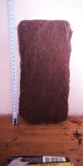 Panel de Fondo Exoterra Tree Fern