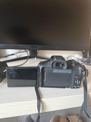 Camara canon EOS R50