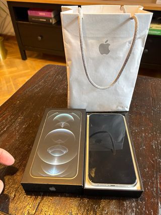 iPhone 12 Pro Max Argento