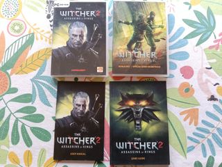 The Witcher 2 Assassins of Kings PC