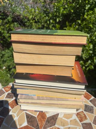 Lote D 10 libro a cual mas interesantes