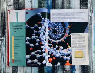 Biología Geología 1 Bachillerato Editorial SM