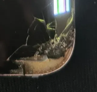 Samsung S8 plus funzionante