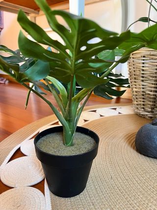 Planta Monstera Artificial