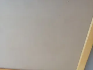 Pintura al oleo sobre lienzo , bodegón