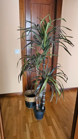 Planta artificial decorativa