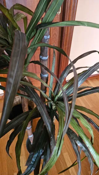 Planta artificial decorativa