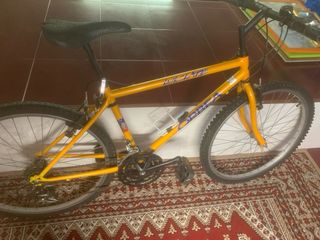 Antigua Bicicleta Orbea Amarilla