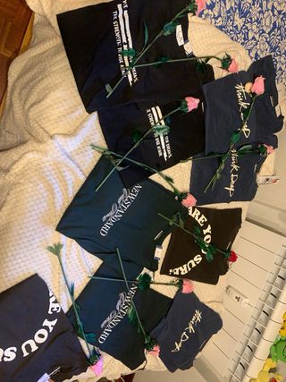 Camisetas primavera ,verano . Unisex.