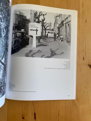 Raoul Hausmann, o, El camino de los exilios Pal...