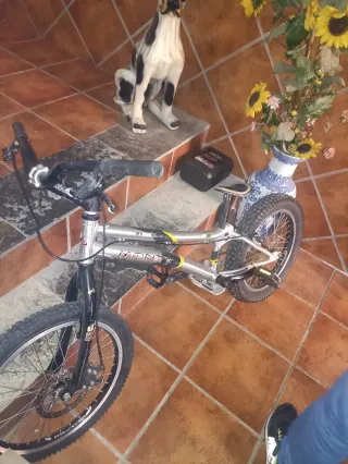 Bicicleta Monty Trial Aluminio (Precio negociable)