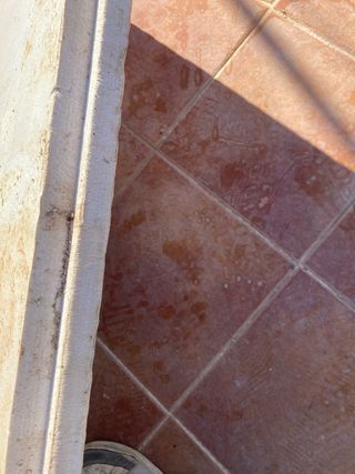 Placas poliespan para rellenar suelos precio pieza