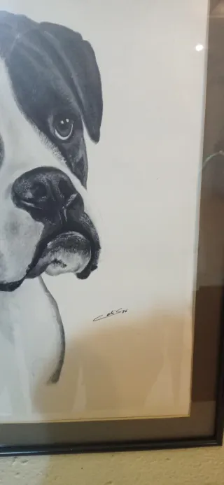 Cuadro perro Boxer blanco y negro.