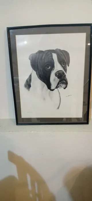 Cuadro perro Boxer blanco y negro.