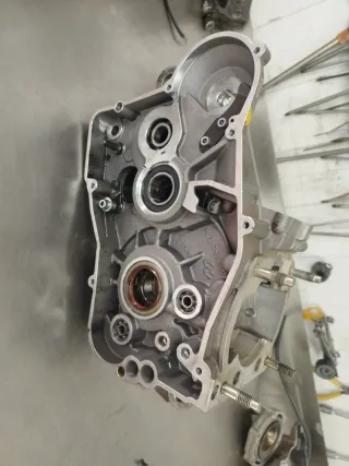 Cárteres Gas Gas EC 300 2008