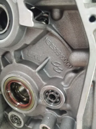 Cárteres Gas Gas EC 300 2008