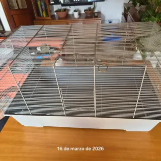 Jaula para mascotas. Doble suelo para hezes