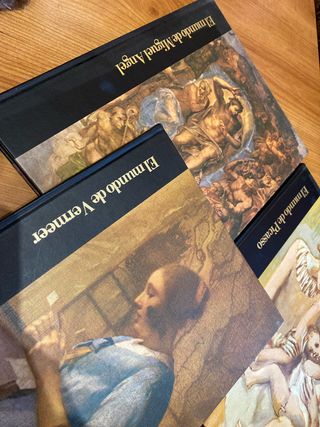 Libros de Picasso, Miguel Angel y Vermeer