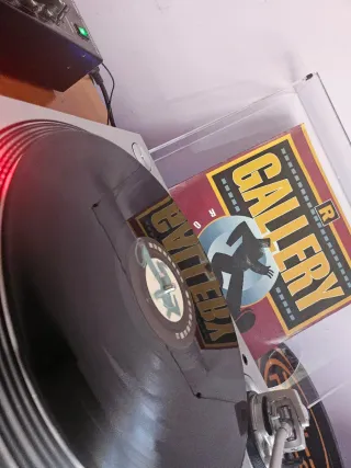 Vinilo R. Gallery – Robix E (12)