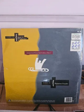 Vinilo R. Gallery – Robix E (12)