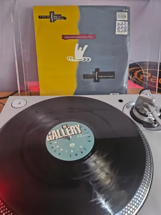 Vinilo R. Gallery – Robix E (12)