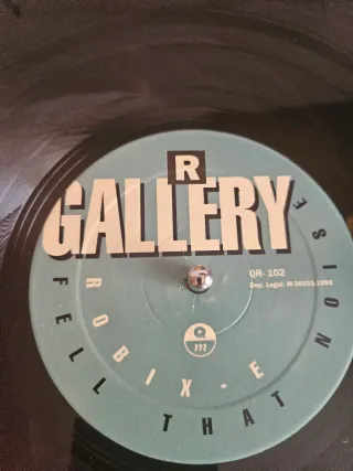 Vinilo R. Gallery – Robix E (12)