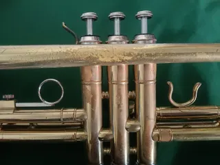 Trompeta Si Bemol + Estuche Rígido