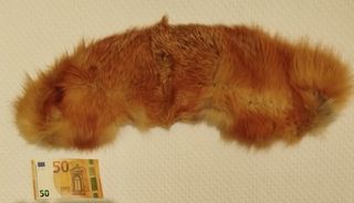 Estola de pelo natural para abrigo o chaqueta.