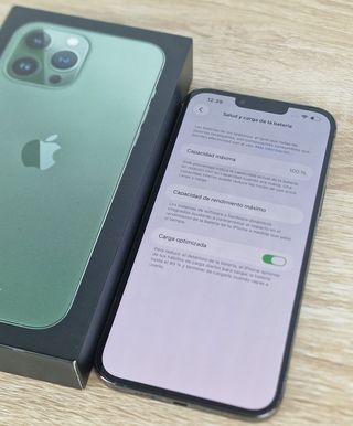 256GB | iPhone 13 Pro Max 100%